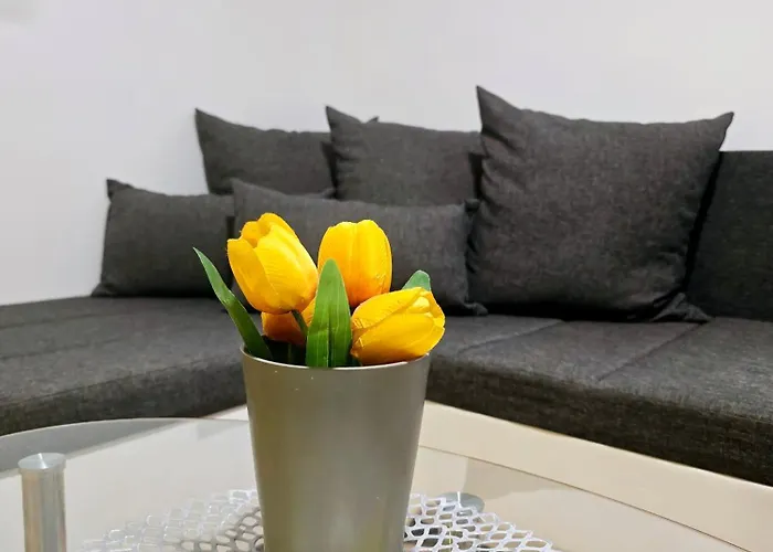 Apartament Vugica *