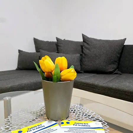 Apartment Vugica *